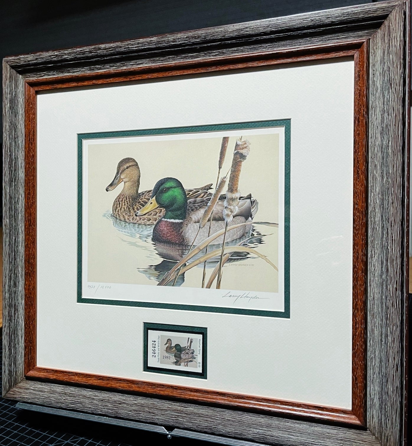 Larry Hayden - 1981 Texas Waterfowl Duck Stamp Print With Stamp - Brand New Custom Sporting Frame  ***  FALL SPECIAL  ***