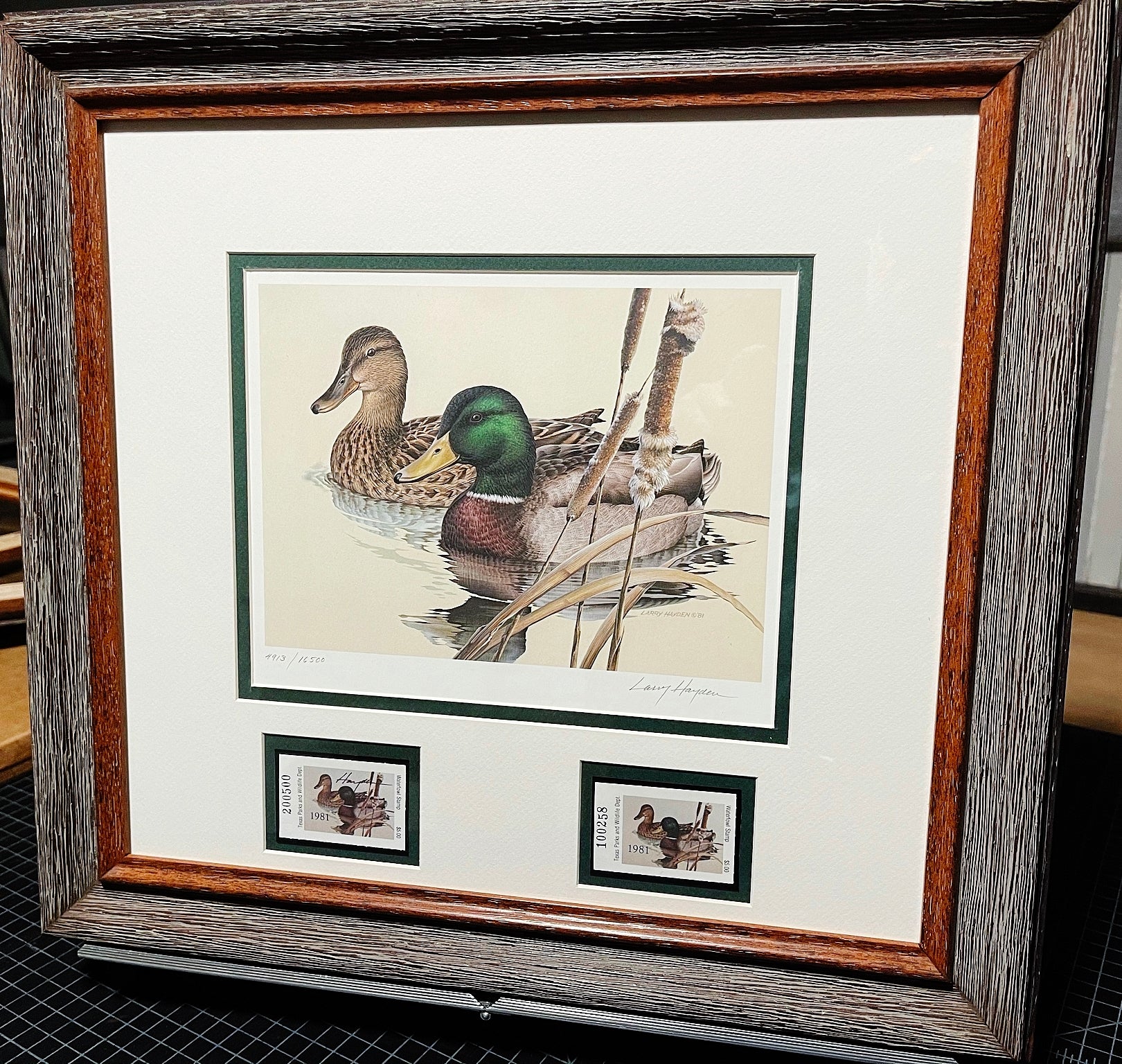 Larry Hayden 1981 Texas Waterfowl Duck Stamp Print With Double Stamps larry-hayden-1981-texas-waterfowl-duck-stamp-print-with-double-stamps