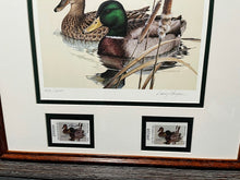 Load image into Gallery viewer, Larry Hayden 1981 Texas Waterfowl Duck Stamp Print With Double Stamps - Brand New Custom Sporting Frame