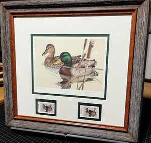 Larry Hayden 1981 Texas Waterfowl Duck Stamp Print With Double Stamps - Brand New Custom Sporting Frame