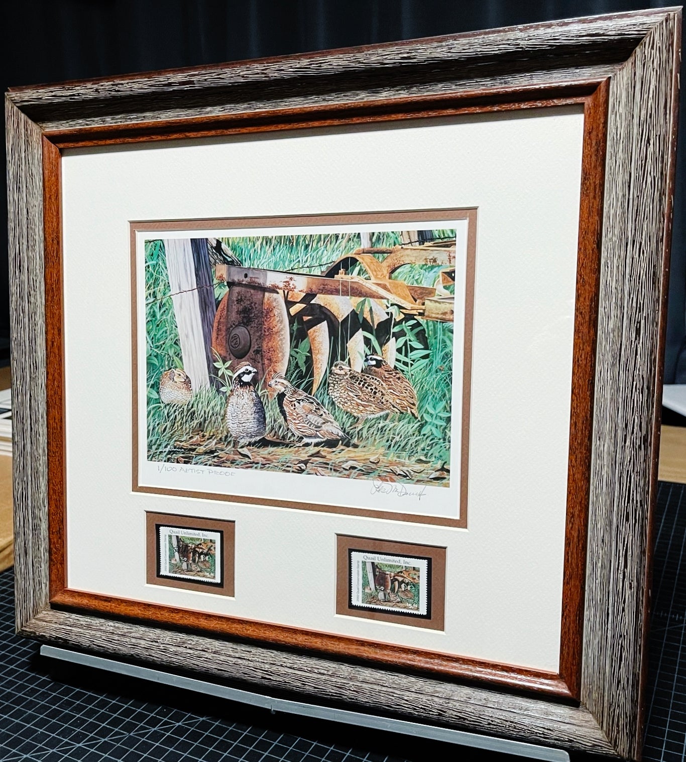 Les McDonald - 2002 Quail Unlimited Stamp Print With Double Stamps - Brand New Custom Sporting Frame