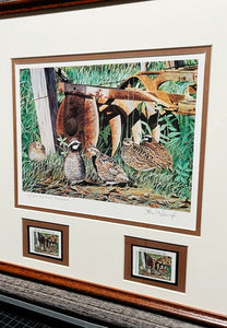 Les McDonald - 2002 Quail Unlimited Stamp Print With Double Stamps - Brand New Custom Sporting Frame