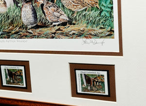 Les McDonald 2002 Quail Unlimited Stamp Print With Double Stamps - Brand New Custom Sporting Frame