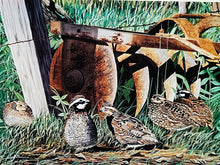Load image into Gallery viewer, Les McDonald - 2002 Quail Unlimited Stamp Print With Double Stamps - Brand New Custom Sporting Frame