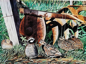 Les McDonald 2002 Quail Unlimited Stamp Print With Double Stamps - Brand New Custom Sporting Frame