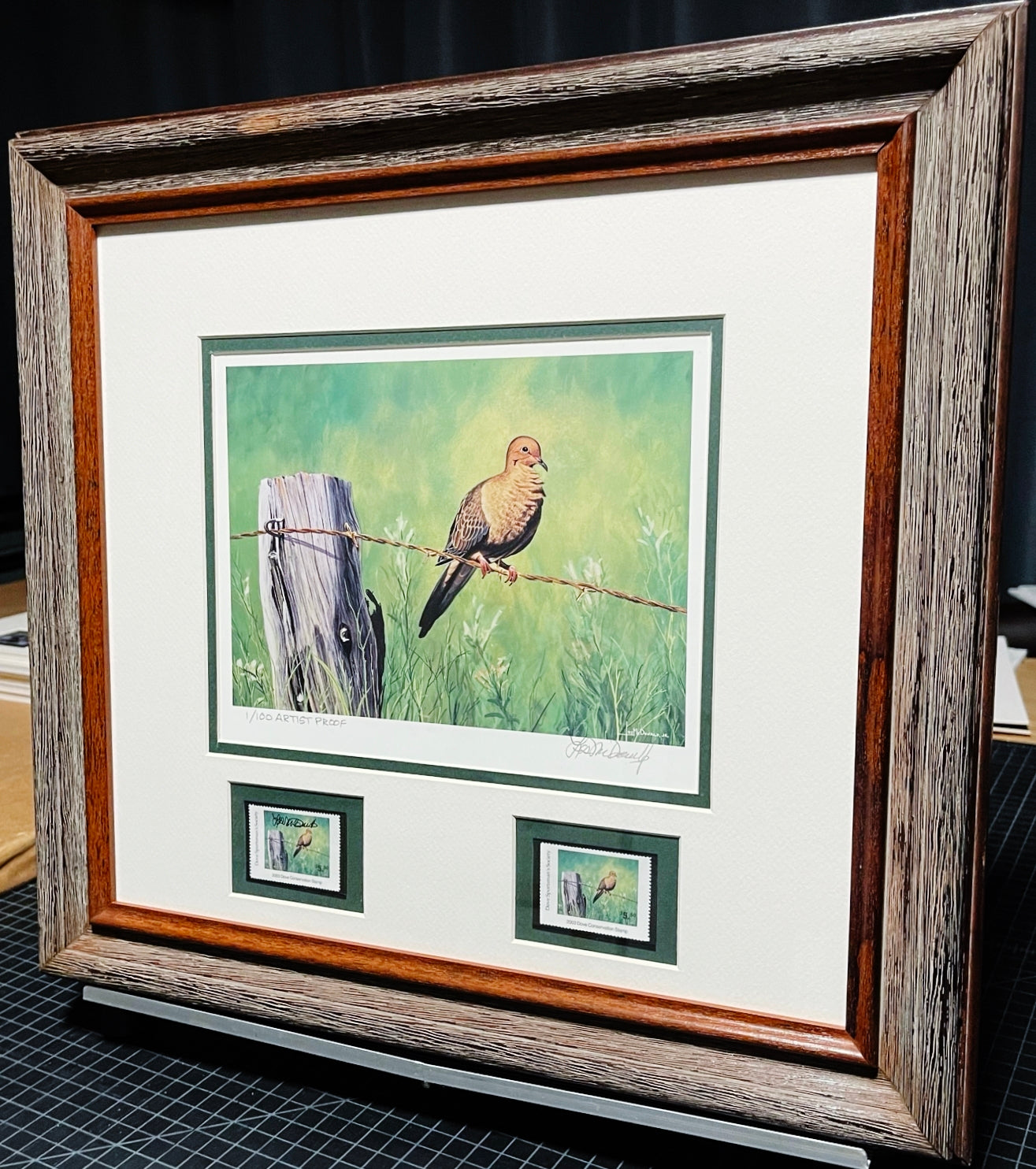 Les McDonald 2003 Quail Unlimited Dove Conservation Stamp Print Artist Proof With Double Stamps - Brand New Super Custom Sporting Frame