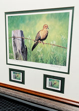 Load image into Gallery viewer, Les McDonald 2003 Quail Unlimited Dove Conservation Stamp Print Artist Proof With Double Stamps - Brand New Super Custom Sporting Frame
