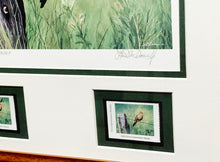 Load image into Gallery viewer, Les McDonald 2003 Quail Unlimited Dove Conservation Stamp Print Artist Proof With Double Stamps - Brand New Super Custom Sporting Frame