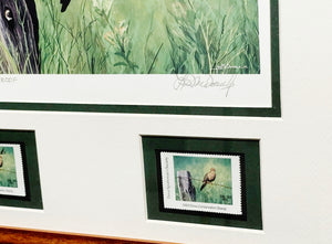 Les McDonald 2003 Quail Unlimited Dove Conservation Stamp Print Artist Proof With Double Stamps - Brand New Super Custom Sporting Frame
