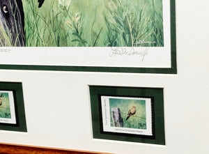 Les McDonald 2003 Quail Unlimited Dove Conservation Stamp Print Artist Proof With Double Stamps - Brand New Custom Sporting Frame