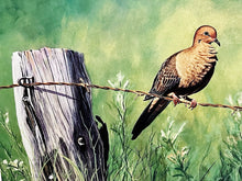 Load image into Gallery viewer, Les McDonald 2003 Quail Unlimited Dove Conservation Stamp Print Artist Proof With Double Stamps - Brand New Super Custom Sporting Frame