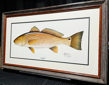 Load image into Gallery viewer, Les McDonald - Redfish - Lithograph - Brand New Custom Sporting Frame  ***  FALL SPECIAL  ***