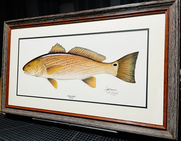 Les McDonald - Redfish - Lithograph - Brand New Custom Sporting Frame  ***  FALL SPECIAL  ***