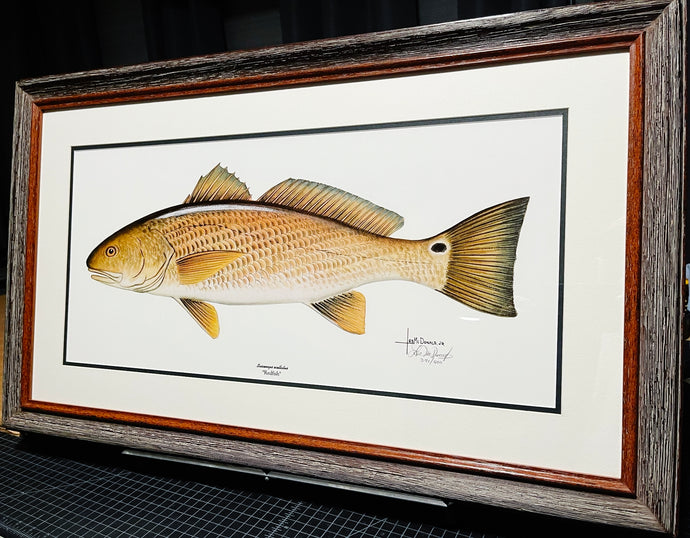 Les McDonald Redfish Lithograph - Brand New Custom Sporting Frame  ***  SPRING SPECIAL  ***