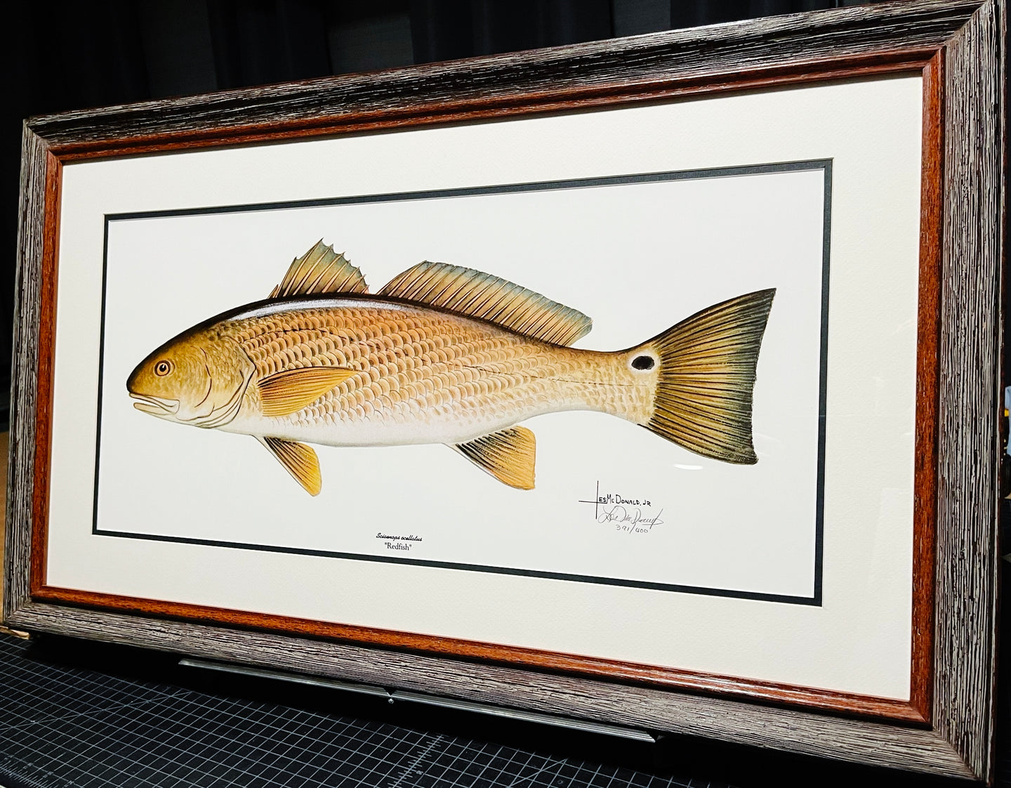 Les McDonald - Redfish - Lithograph - Brand New Custom Sporting Frame  ***  FALL SPECIAL  ***