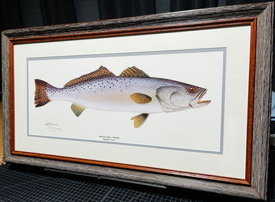 Les McDonald Speckled Trout Lithograph - Brand New Custom Sporting Frame  ***  SPRING SPECIAL  ***