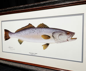Les McDonald Speckled Trout Lithograph - Brand New Custom Sporting Frame  ***  SPRING SPECIAL  ***