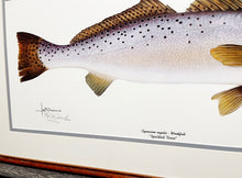 Load image into Gallery viewer, Les McDonald - Speckled Trout - Lithograph - Brand New Custom Sporting Frame  ***  WINTER SPECIAL  ***