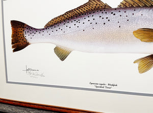 Les McDonald Speckled Trout Lithograph - Brand New Custom Sporting Frame  ***  SPRING SPECIAL  ***