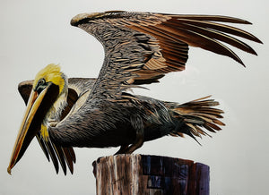 Les McDonald Taking Flight GiClee Full Sheet #1 - Brand New Super Custom Sporting Frame