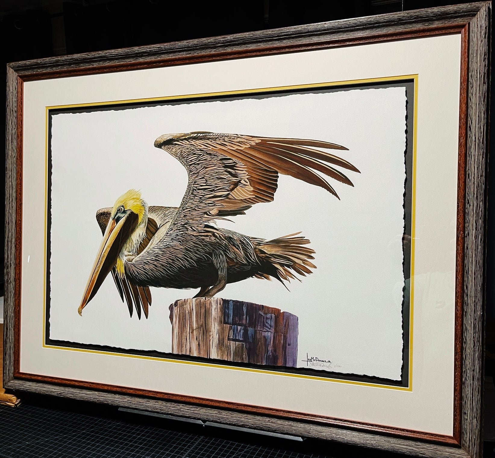 Les McDonald Taking Flight GiClee Full Sheet #1 - Brand New Super Custom Sporting Frame