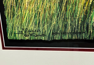 Les McDonald Tidal Flats Roseate's GiClee 3/4 Sheet Artist Proof - Brand New Super Custom Sporting Frame
