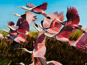 Les McDonald Tidal Flats Roseate's GiClee 3/4 Sheet Artist Proof - Brand New Super Custom Sporting Frame