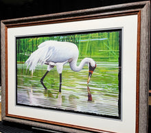 Load image into Gallery viewer, Les McDonald - Wading Whooper - GiClee&quot;, Classic Whooping Crane  - Number 1 Of 200 - Brand New Custom Sporting Frame