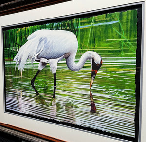 Les McDonald - Wading Whooper - GiClee", Classic Whooping Crane  - Number 1 Of 200 - Brand New Custom Sporting Frame