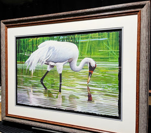 Les McDonald - Wading Whooper - GiClee", Classic Whooping Crane  - Number 1 Of 200 - Brand New Custom Sporting Frame