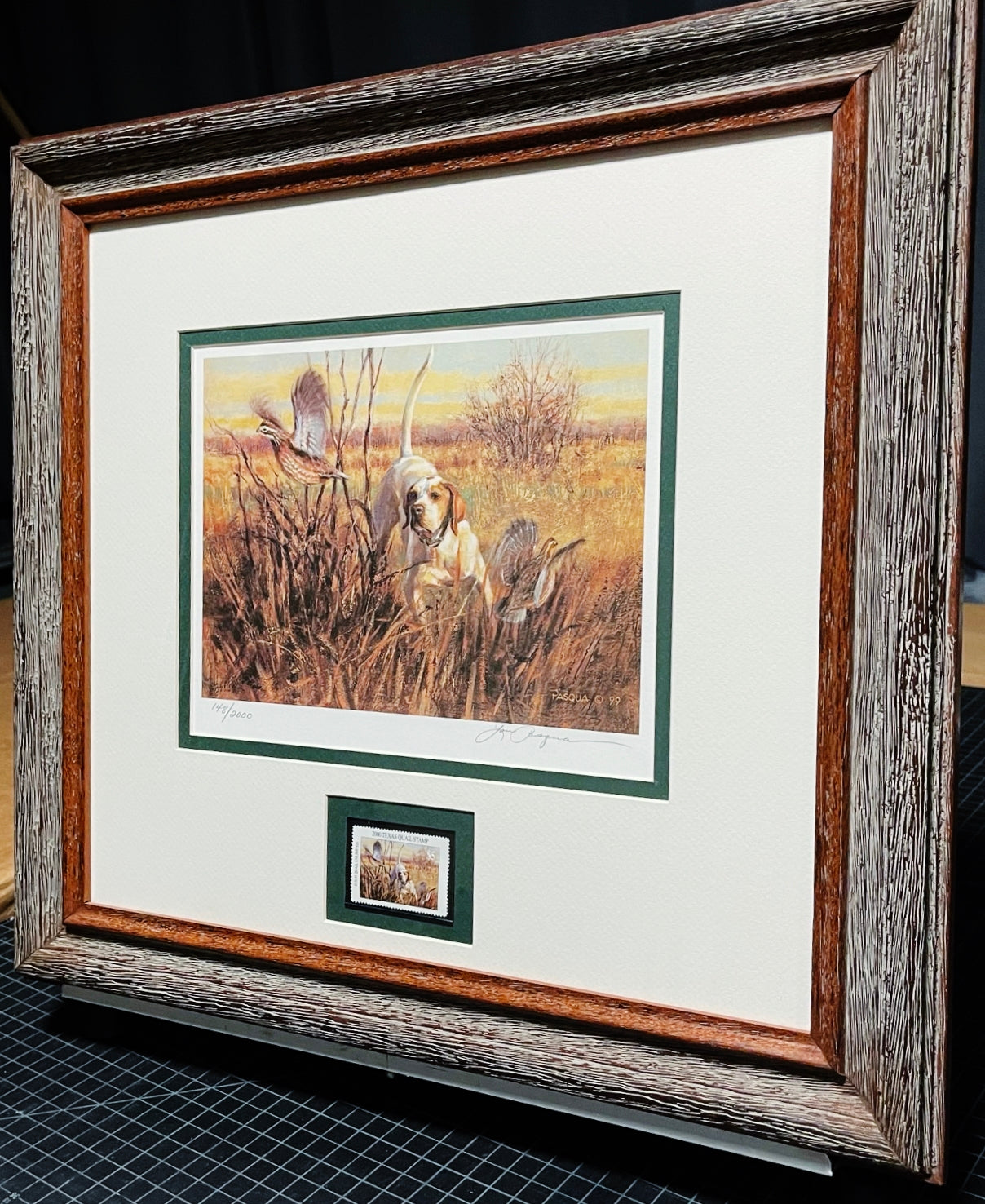 Lou Pasqua - 2000 Texas Quail Stamp Print With Stamp - Brand New Custom Sporting Frame