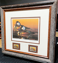 Load image into Gallery viewer, Mark S. Anderson - 2005 Federal Migratory Duck Stamp Print With Double Stamps - Brand New Custom Sporting Frame