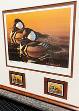 Load image into Gallery viewer, Mark S. Anderson 2005 Federal Migratory Duck Stamp Print With Double Stamps - Brand New Custom Sporting Frame