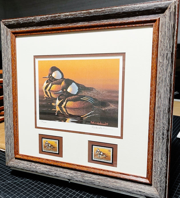 Mark S. Anderson 2005 Federal Migratory Duck Stamp Print With Double Stamps - Brand New Super Custom Sporting Frame