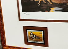 Load image into Gallery viewer, Mark S. Anderson - 2005 Federal Migratory Duck Stamp Print With Double Stamps - Brand New Custom Sporting Frame