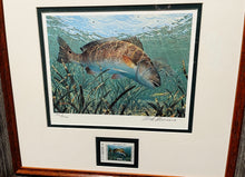 Load image into Gallery viewer, Mark Susinno - 1994 Texas Saltwater Stamp Print With Stamp - Brand New Custom Sporting Frame