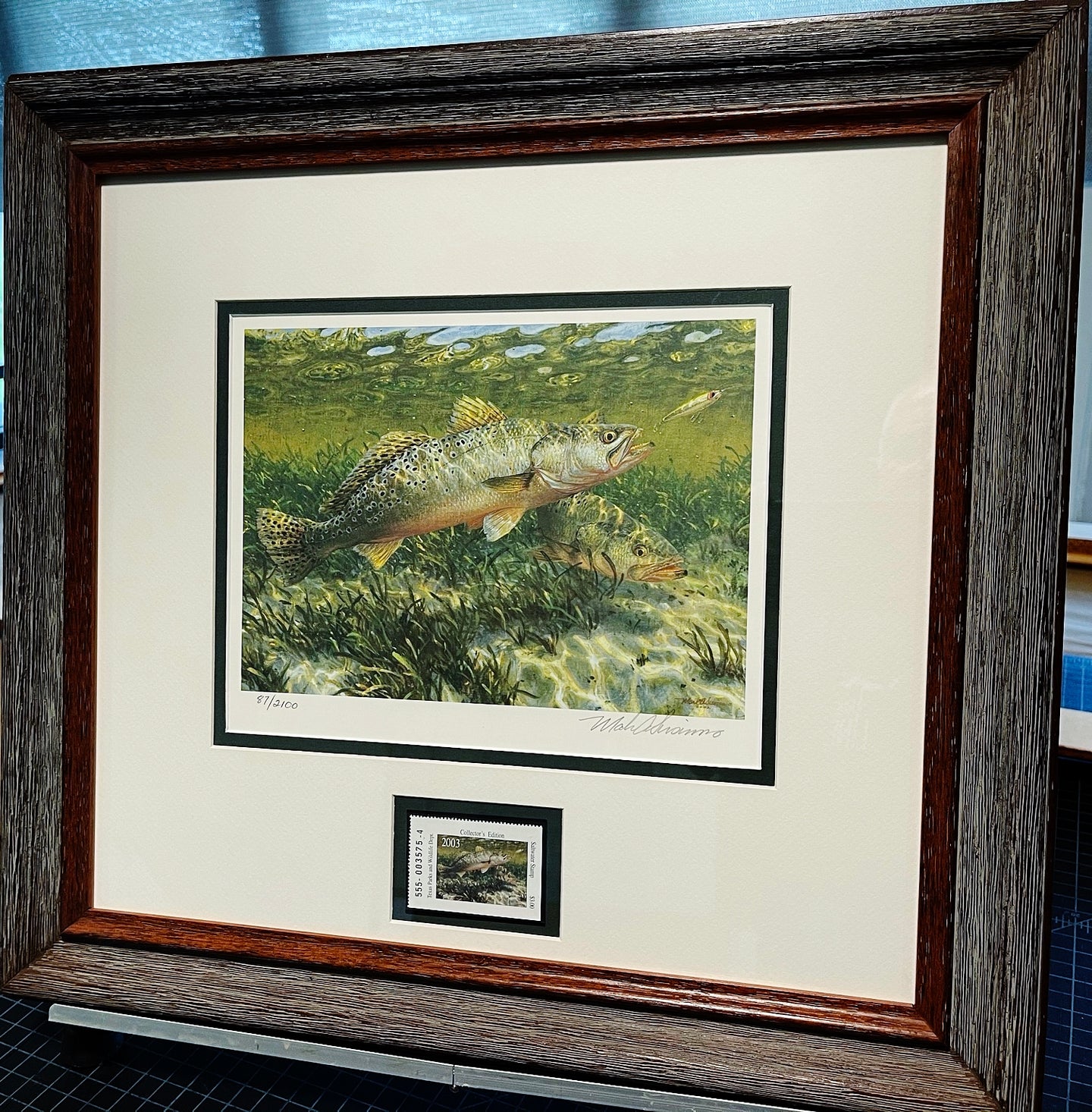 Mark Susinno - 2003 Texas Saltwater Stamp Print With Stamp - Brand New Custom Sporting Frame