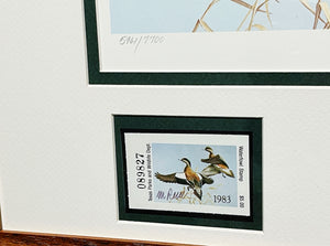 Maynard Reece 1983 Texas Waterfowl Duck Stamp Print With Double Stamps - Brand New Super Custom Sporting Frame