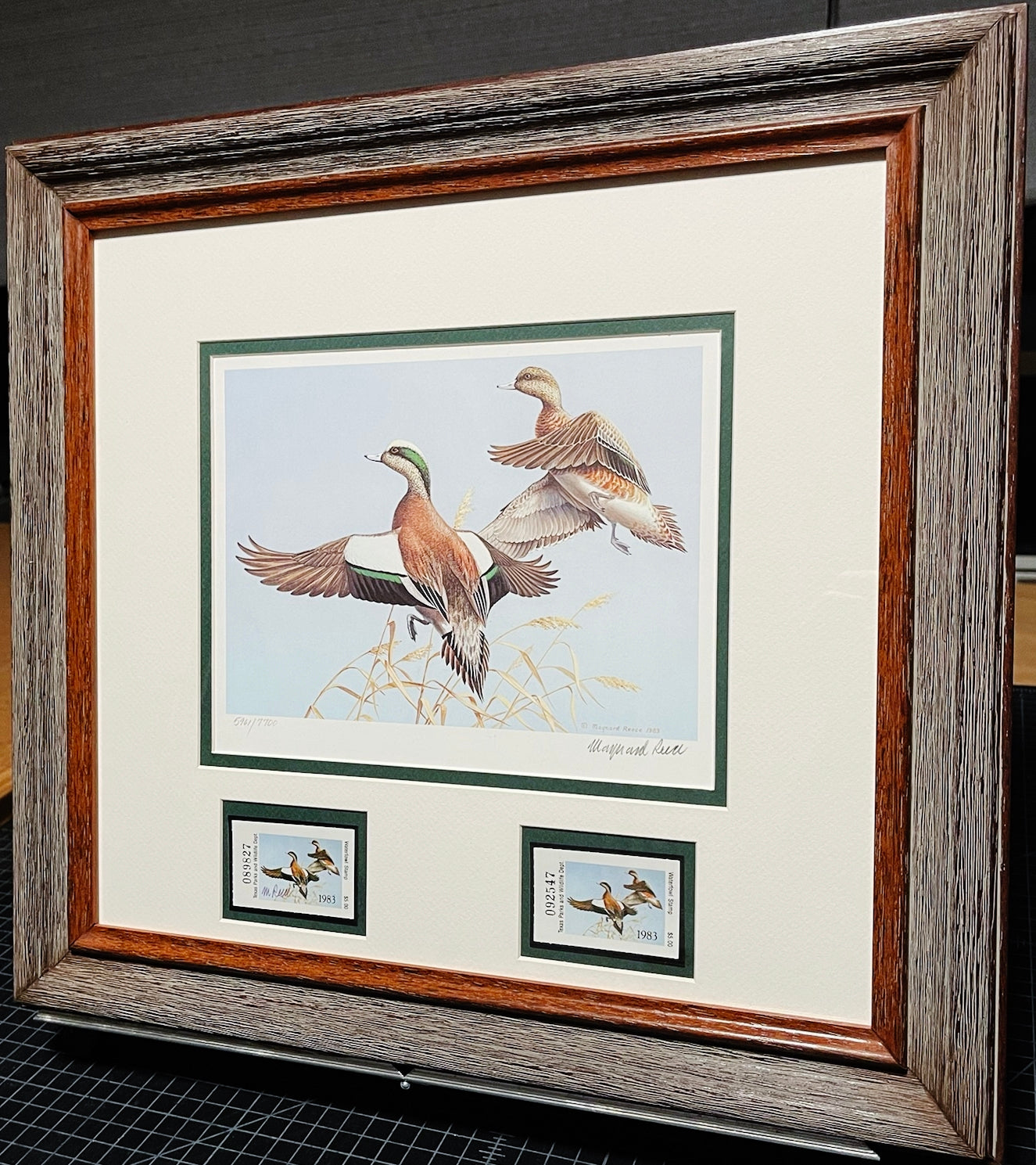 Maynard Reece 1983 Texas Waterfowl Duck Stamp Print With Double Stamps - Brand New Super Custom Sporting Frame