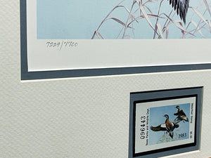 Maynard Reece  1983 Texas Waterfowl Duck Stamp Print With Stamp - Brand New Super Custom Sporting Frame