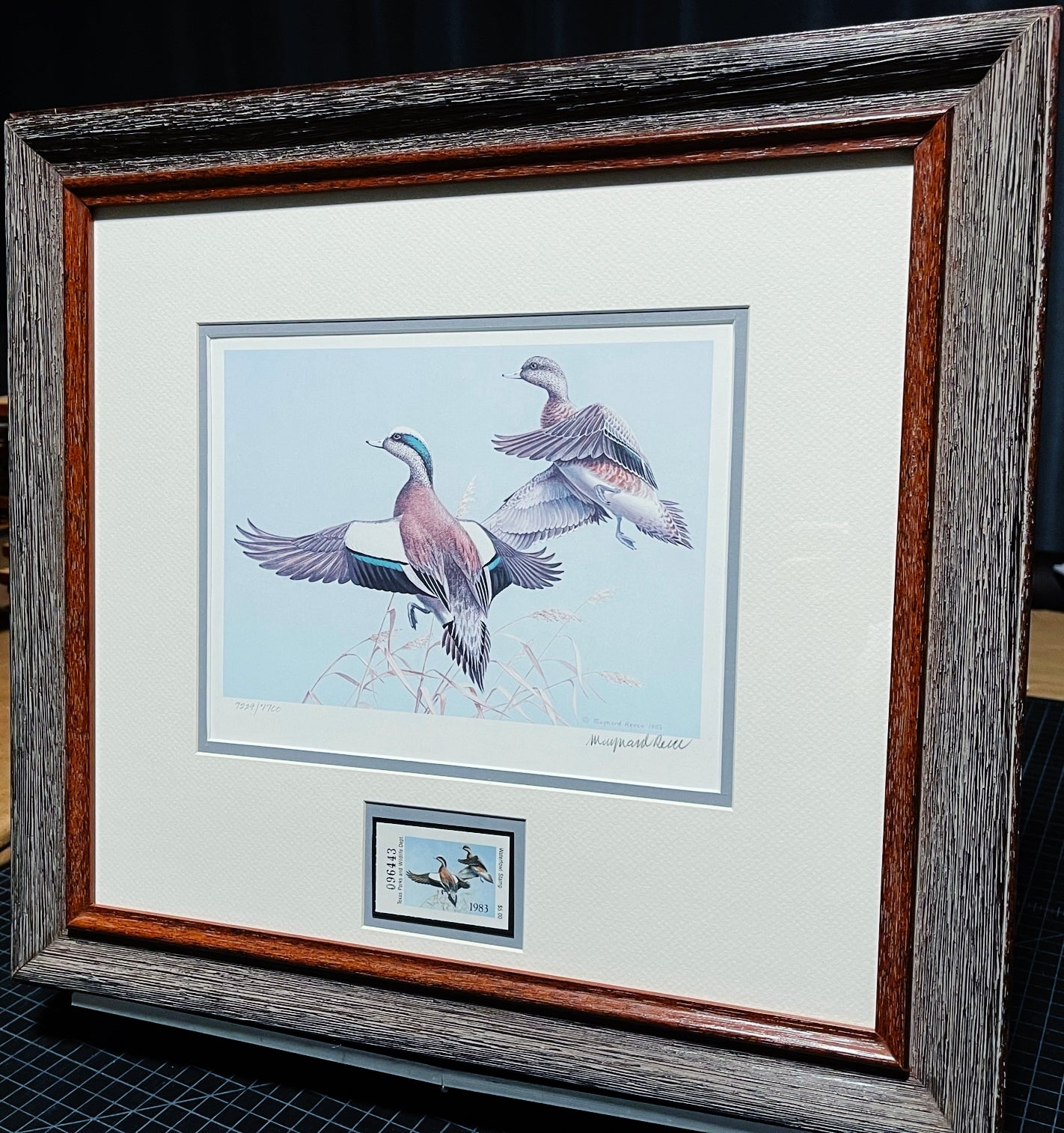 Maynard Reece  1983 Texas Waterfowl Duck Stamp Print With Stamp - Brand New Super Custom Sporting Frame