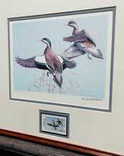 Load image into Gallery viewer, Maynard Reece - 1983 Texas Waterfowl Duck Stamp Print With Stamp - By Texas Parks and Wildlife Department TPWD - Brand New Custom Sporting Frame