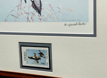 Load image into Gallery viewer, Maynard Reece  1983 Texas Waterfowl Duck Stamp Print With Stamp - Brand New Super Custom Sporting Frame