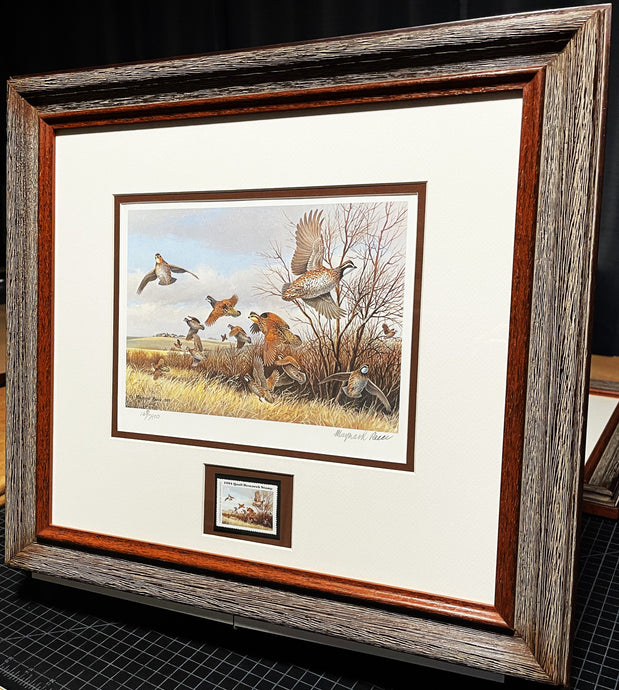 Maynard Reece 1984 International Quail Foundation - Quail Research Stamp Print With Stamp - Brand New Super Custom Sporting Frame