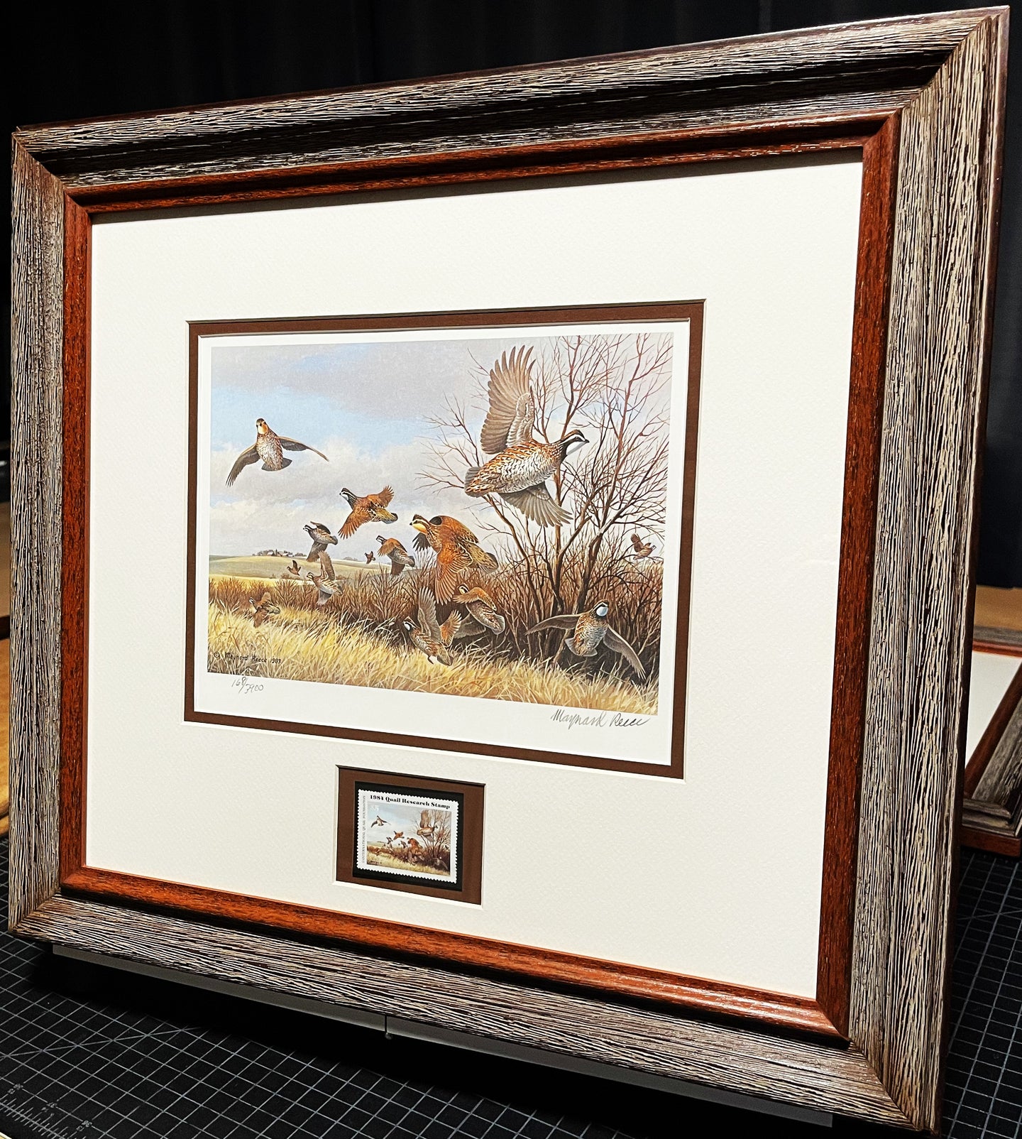 Maynard Reece - 1984 International Quail Foundation - Quail Research - Stamp Print With Stamp - Brand New Custom Sporting Frame