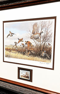 Maynard Reece - 1984 International Quail Foundation - Quail Research - Stamp Print With Stamp - Brand New Custom Sporting Frame