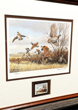 Load image into Gallery viewer, Maynard Reece - 1984 International Quail Foundation - Quail Research - Stamp Print With Stamp - Brand New Custom Sporting Frame