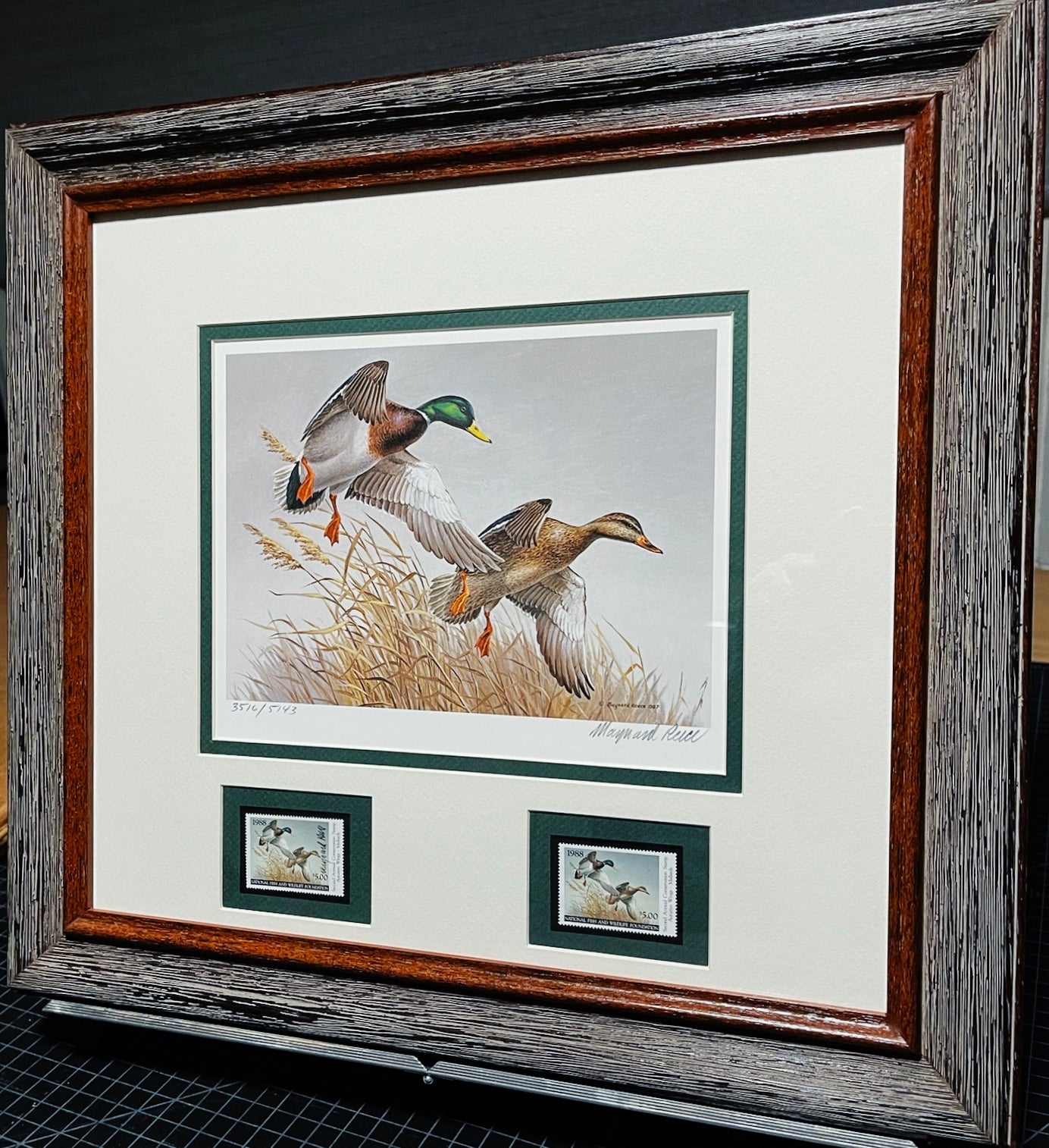 Maynard Reece  1988 National Fish And Wildlife Foundation Stamp Print With Double Stamps - Brand New Super Custom Sporting Frame    ***  SPRING SPECIAL  ***