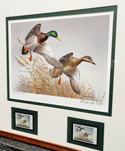 Load image into Gallery viewer, Maynard Reece  1988 National Fish And Wildlife Foundation Stamp Print With Double Stamps - Brand New Super Custom Sporting Frame    ***  SPRING SPECIAL  ***