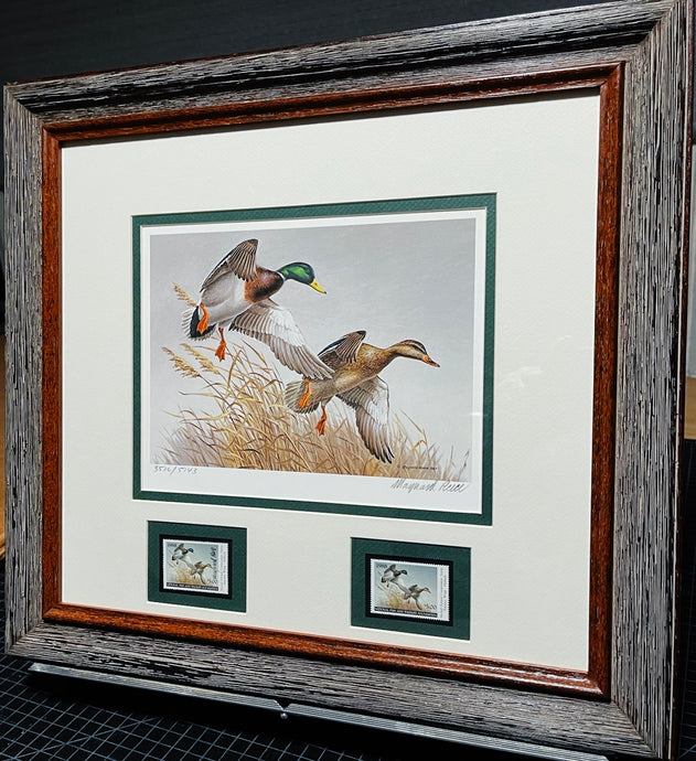 Maynard Reece  1988 National Fish And Wildlife Foundation Stamp Print With Double Stamps - Brand New Super Custom Sporting Frame    ***  SPRING SPECIAL  ***
